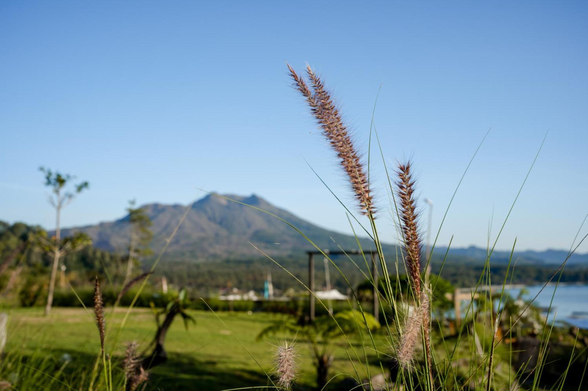 Samuh Camp Kintamani Hotel Exterior photo